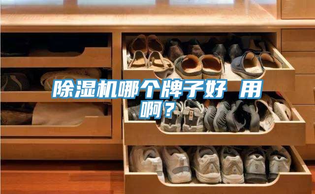 除濕機(jī)哪個(gè)牌子好 用啊？