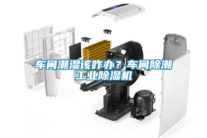 車間潮濕該咋辦？車間除潮工業(yè)除濕機