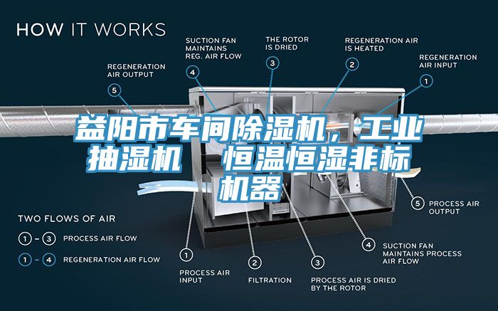 益陽市車間除濕機(jī)，工業(yè)抽濕機(jī)  恒溫恒濕非標(biāo)機(jī)器