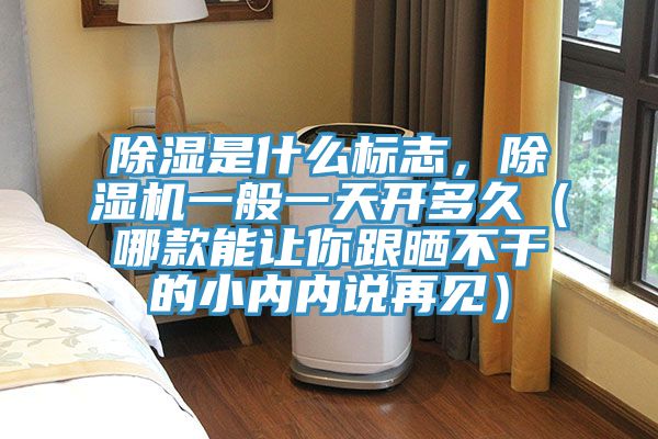 除濕是什么標(biāo)志，除濕機一般一天開多久（哪款能讓你跟曬不干的小內(nèi)內(nèi)說再見）