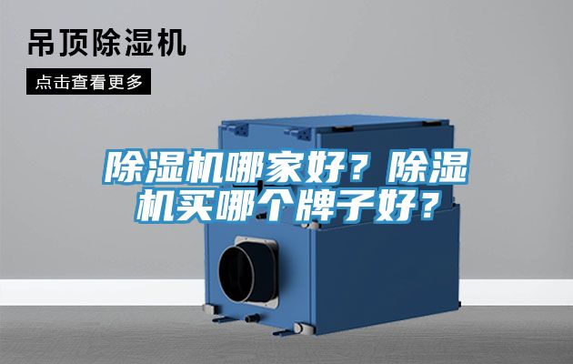 除濕機(jī)哪家好？除濕機(jī)買哪個(gè)牌子好？