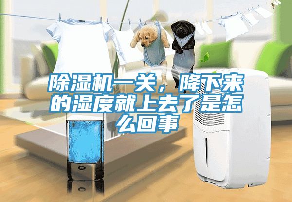 除濕機一關(guān)，降下來的濕度就上去了是怎么回事