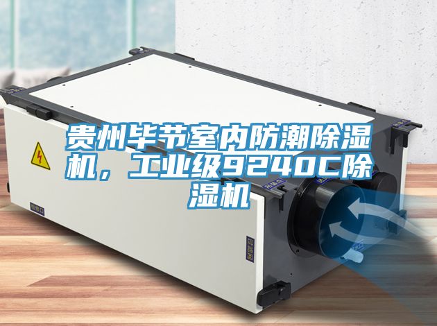 貴州畢節(jié)室內(nèi)防潮除濕機(jī)，工業(yè)級(jí)9240C除濕機(jī)
