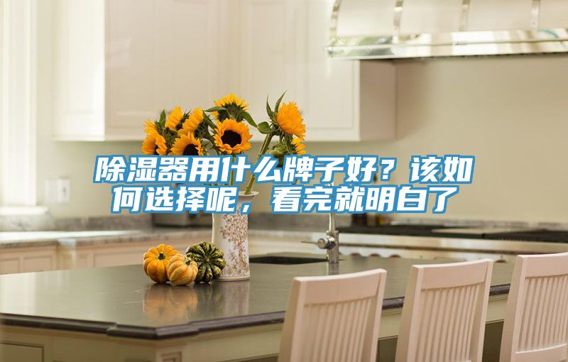 除濕器用什么牌子好？該如何選擇呢，看完就明白了