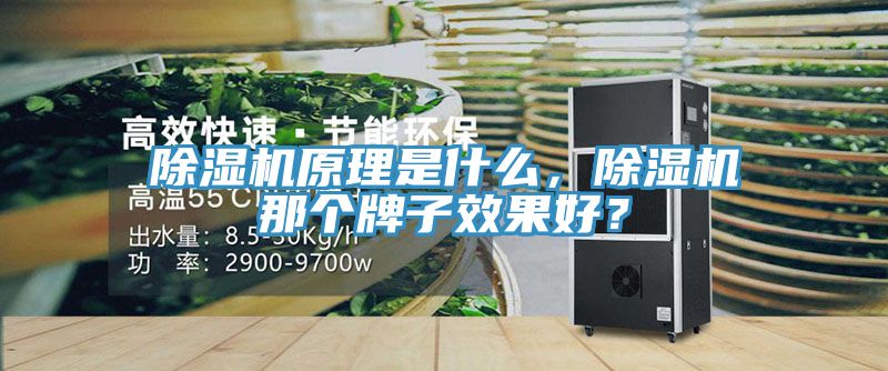 除濕機(jī)原理是什么，除濕機(jī)那個(gè)牌子效果好？