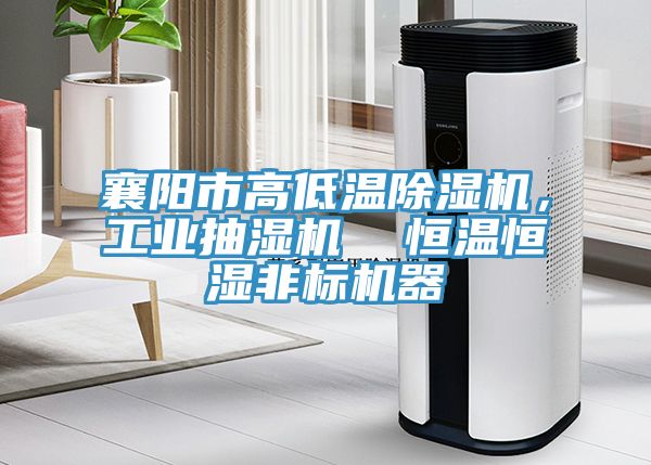 襄陽市高低溫除濕機，工業(yè)抽濕機  恒溫恒濕非標機器