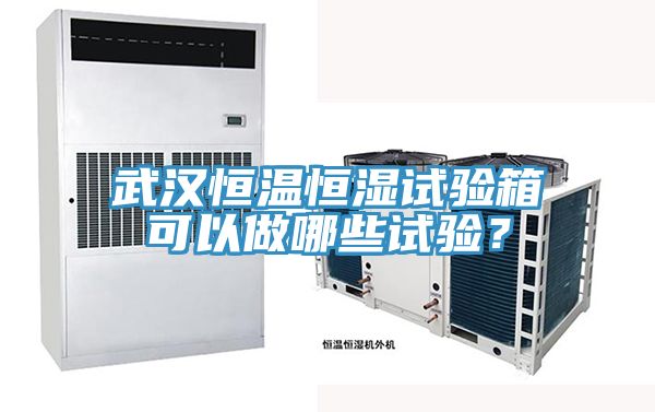 武漢恒溫恒濕試驗(yàn)箱可以做哪些試驗(yàn)？
