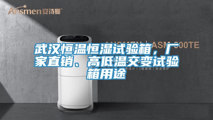 武漢恒溫恒濕試驗(yàn)箱，廠家直銷(xiāo)、高低溫交變?cè)囼?yàn)箱用途