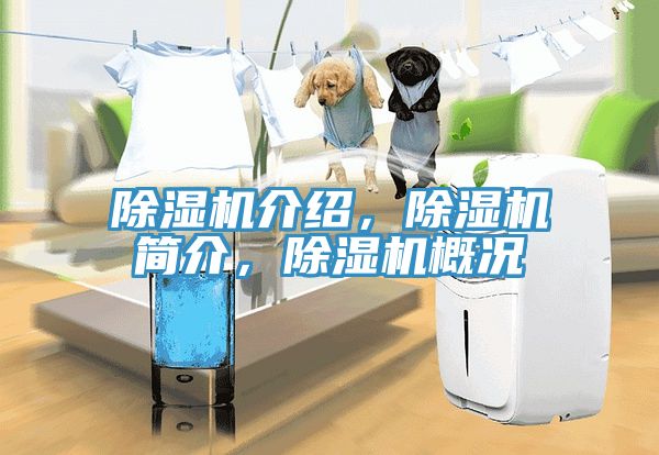 除濕機(jī)介紹，除濕機(jī)簡介，除濕機(jī)概況