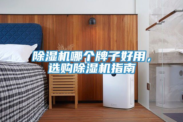 除濕機哪個牌子好用，選購除濕機指南