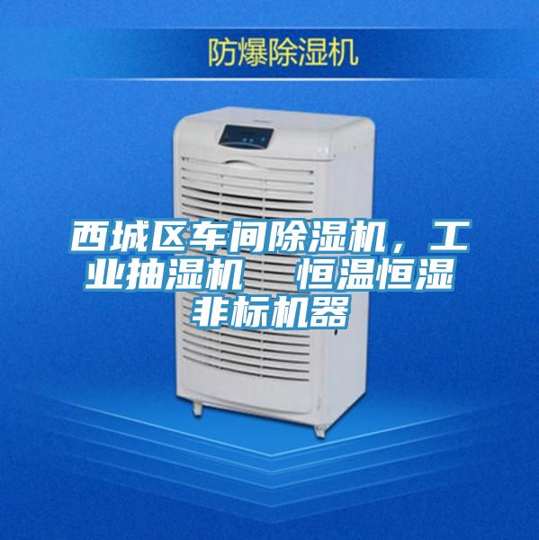 西城區(qū)車間除濕機，工業(yè)抽濕機  恒溫恒濕非標機器