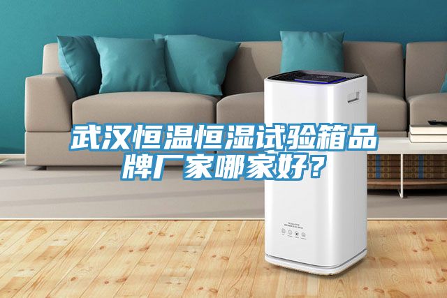 武漢恒溫恒濕試驗(yàn)箱品牌廠家哪家好？