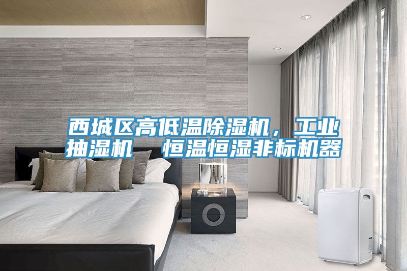 西城區(qū)高低溫除濕機，工業(yè)抽濕機  恒溫恒濕非標機器
