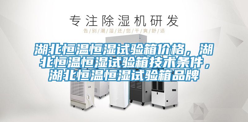 湖北恒溫恒濕試驗箱價格，湖北恒溫恒濕試驗箱技術(shù)條件，湖北恒溫恒濕試驗箱品牌