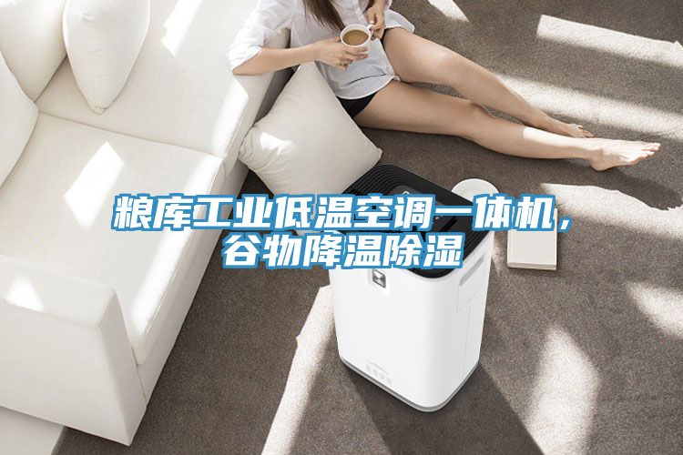 糧庫工業(yè)低溫空調(diào)一體機，谷物降溫除濕