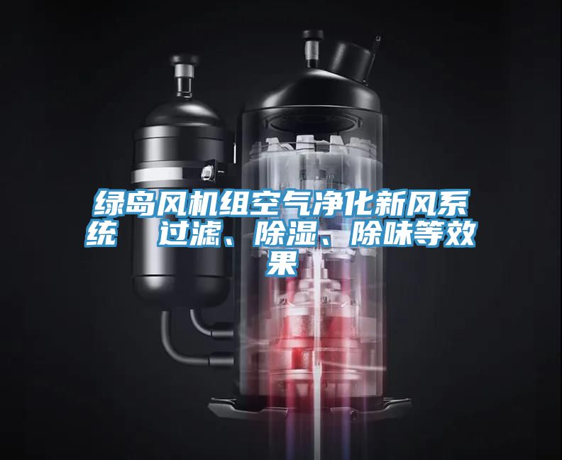 綠島風(fēng)機組空氣凈化新風(fēng)系統(tǒng)  過濾、除濕、除味等效果