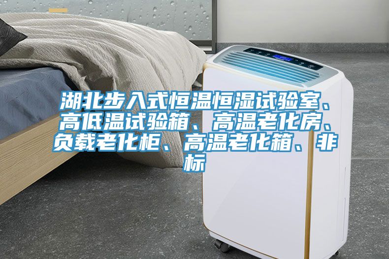湖北步入式恒溫恒濕試驗室、高低溫試驗箱、高溫老化房、負(fù)載老化柜、高溫老化箱、非標(biāo)
