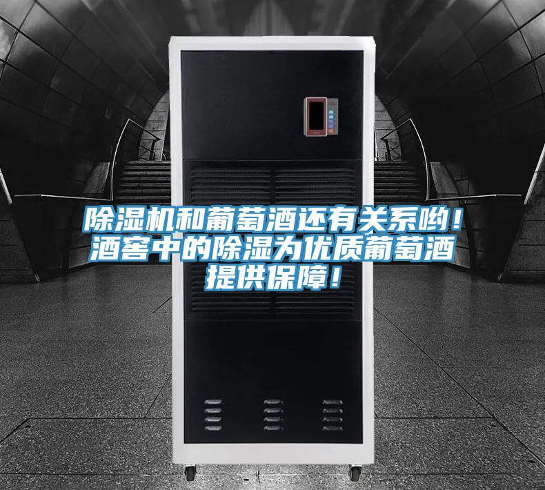 除濕機(jī)和葡萄酒還有關(guān)系喲！酒窖中的除濕為優(yōu)質(zhì)葡萄酒提供保障！