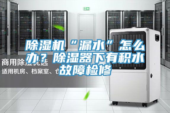 除濕機(jī)“漏水”怎么辦？除濕器下有積水故障檢修