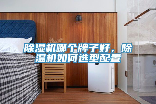 除濕機哪個牌子好，除濕機如何選型配置