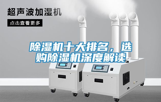除濕機(jī)十大排名，選購除濕機(jī)深度解讀
