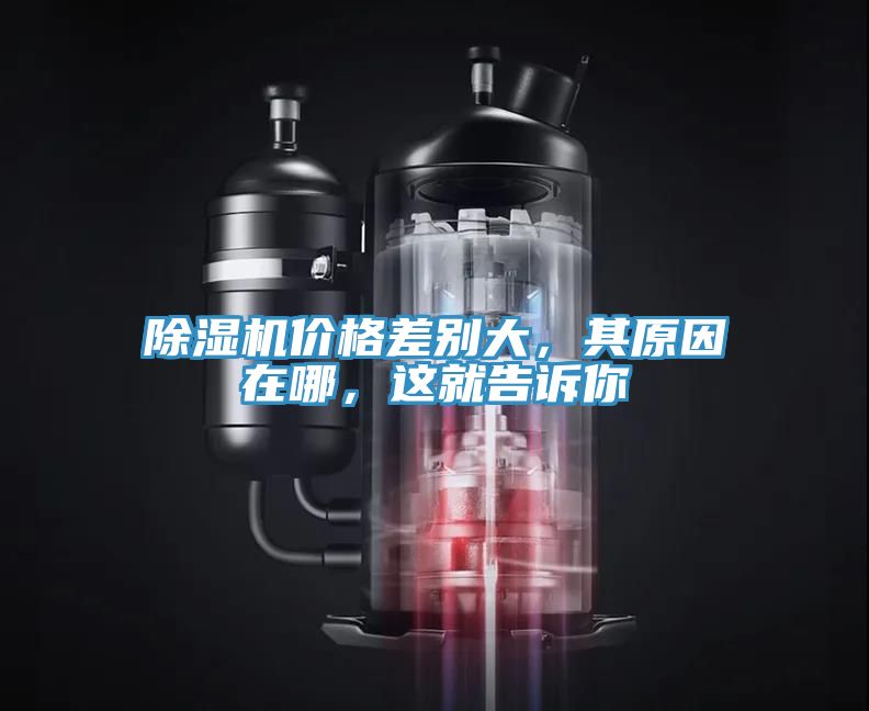 除濕機(jī)價格差別大，其原因在哪，這就告訴你