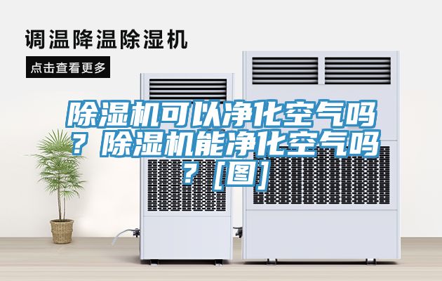 除濕機(jī)可以凈化空氣嗎？除濕機(jī)能凈化空氣嗎？[圖]