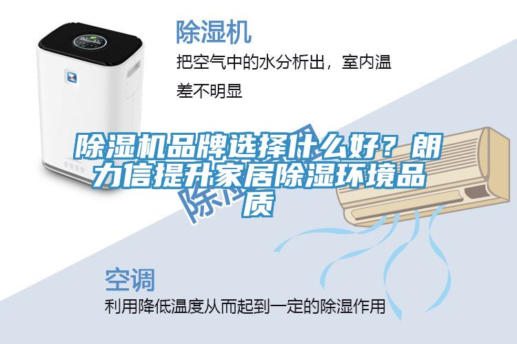 除濕機(jī)品牌選擇什么好？朗力信提升家居除濕環(huán)境品質(zhì)