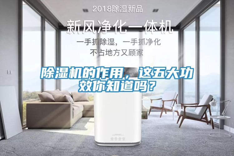 除濕機的作用，這五大功效你知道嗎？
