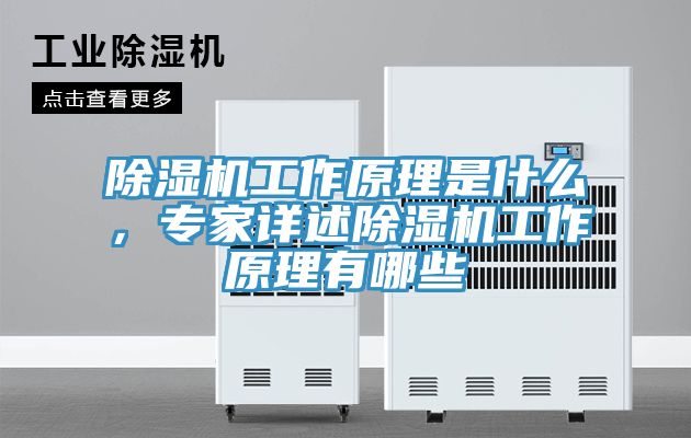 除濕機(jī)工作原理是什么，專家詳述除濕機(jī)工作原理有哪些
