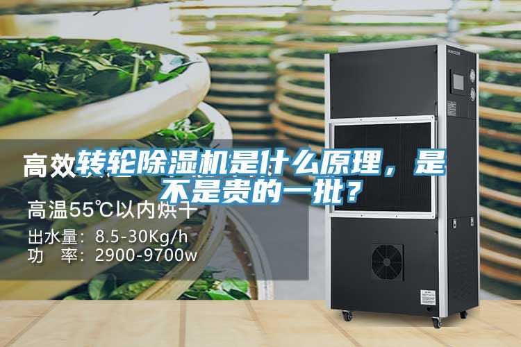 轉(zhuǎn)輪除濕機是什么原理，是不是貴的一批？