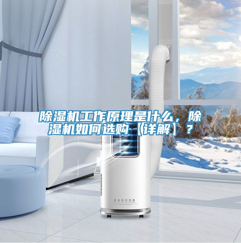 除濕機(jī)工作原理是什么，除濕機(jī)如何選購【詳解】？