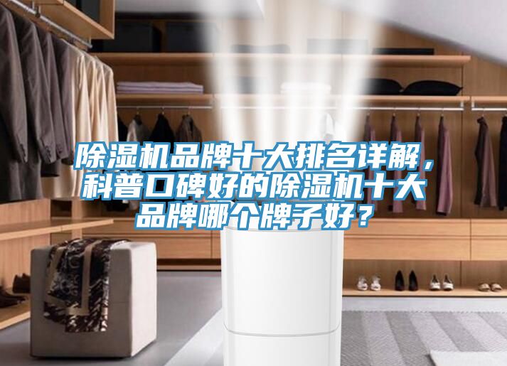 除濕機(jī)品牌十大排名詳解，科普口碑好的除濕機(jī)十大品牌哪個(gè)牌子好？