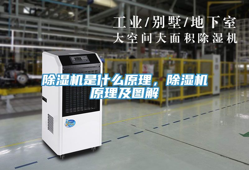 除濕機(jī)是什么原理，除濕機(jī)原理及圖解