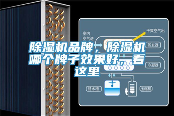 除濕機(jī)品牌，除濕機(jī)哪個(gè)牌子效果好，看這里