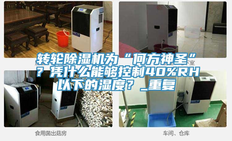 轉(zhuǎn)輪除濕機(jī)為“何方神圣”？憑什么能夠控制40%RH以下的濕度？_重復(fù)