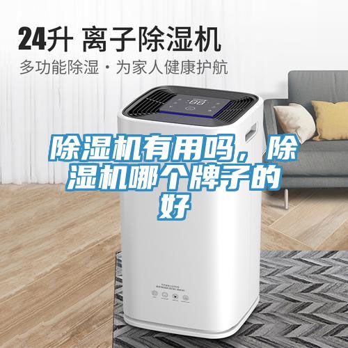 除濕機(jī)有用嗎，除濕機(jī)哪個牌子的好