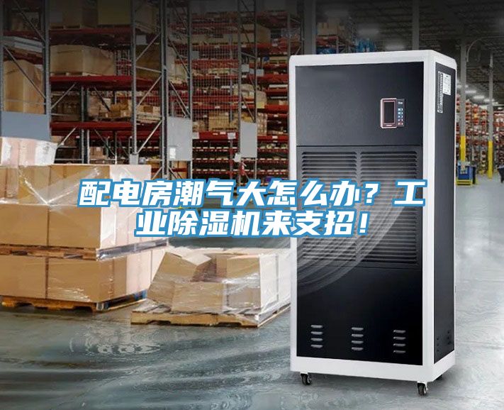 配電房潮氣大怎么辦？工業(yè)除濕機(jī)來(lái)支招！