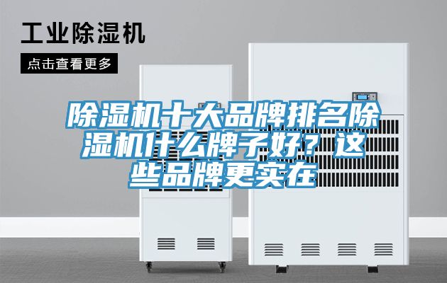 除濕機十大品牌排名除濕機什么牌子好？這些品牌更實在