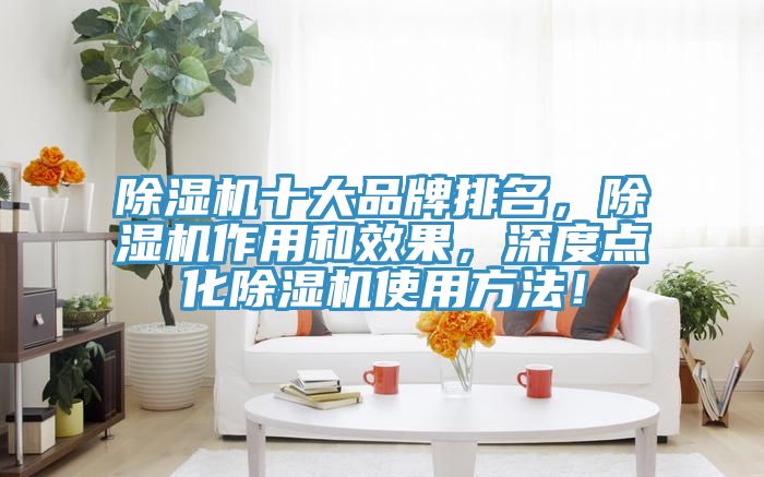 除濕機十大品牌排名，除濕機作用和效果，深度點化除濕機使用方法！