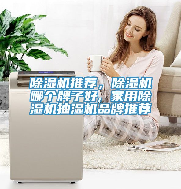 除濕機(jī)推薦，除濕機(jī)哪個牌子好, 家用除濕機(jī)抽濕機(jī)品牌推薦