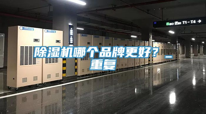 除濕機哪個品牌更好？_重復