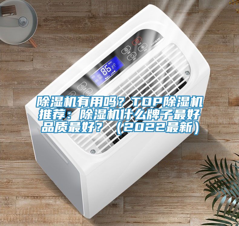 除濕機(jī)有用嗎？TOP除濕機(jī)推薦：除濕機(jī)什么牌子最好品質(zhì)最好？（2022最新）