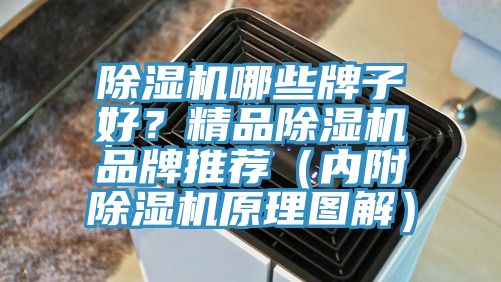 除濕機(jī)哪些牌子好？精品除濕機(jī)品牌推薦（內(nèi)附除濕機(jī)原理圖解）