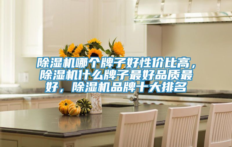 除濕機(jī)哪個(gè)牌子好性價(jià)比高，除濕機(jī)什么牌子最好品質(zhì)最好，除濕機(jī)品牌十大排名