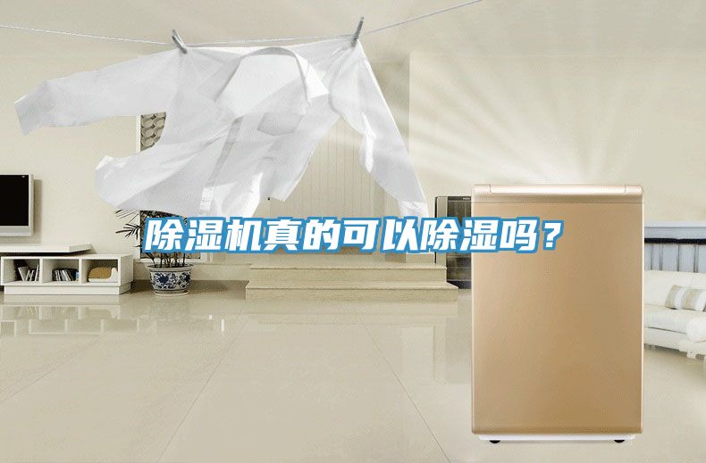 除濕機真的可以除濕嗎？