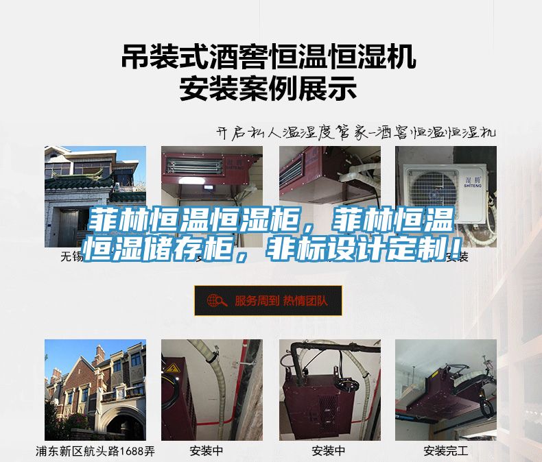菲林恒溫恒濕柜，菲林恒溫恒濕儲存柜，非標(biāo)設(shè)計定制！