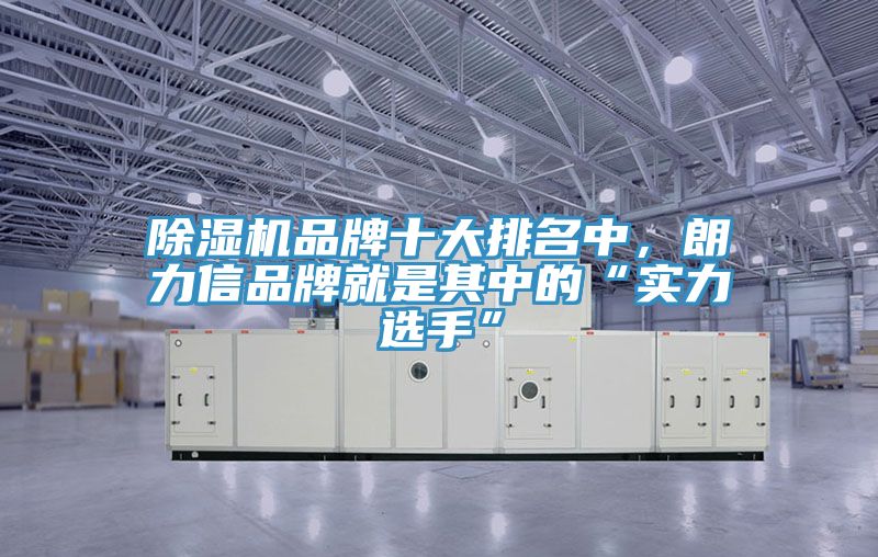 除濕機(jī)品牌十大排名中，朗力信品牌就是其中的“實(shí)力選手”