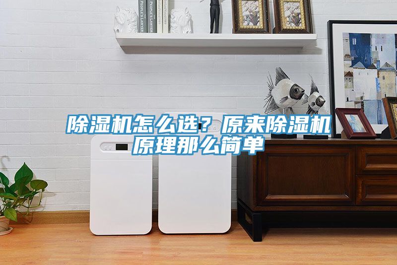 除濕機(jī)怎么選？原來(lái)除濕機(jī)原理那么簡(jiǎn)單