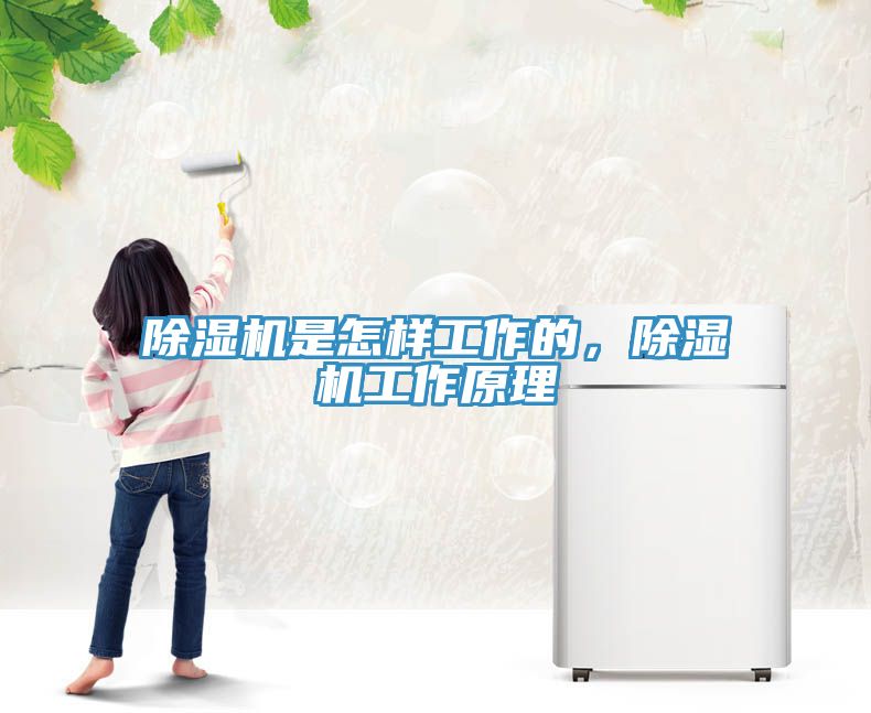 除濕機(jī)是怎樣工作的，除濕機(jī)工作原理